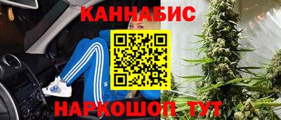 гидропоника Можга