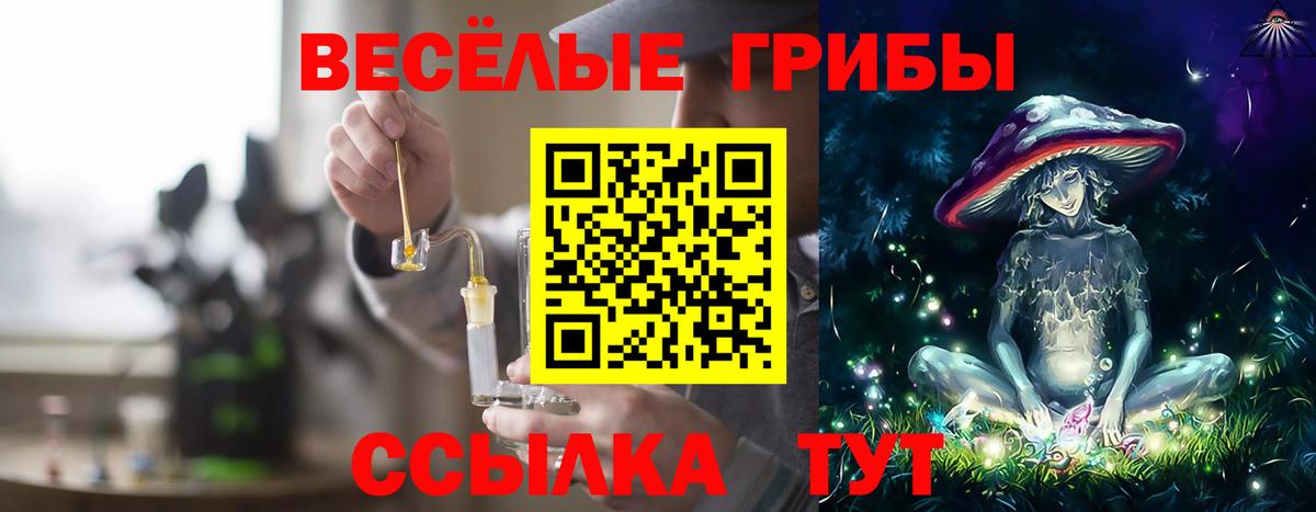 Галлюциногенные грибы Cubensis  Вход с VPN  Верхняя Пышма  Галлюциногенные грибы мухоморы 